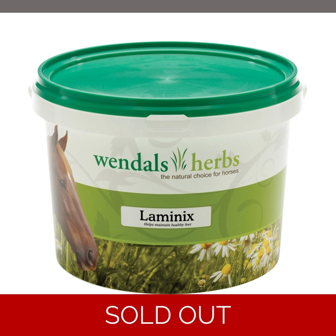 product Image for Wendals Laminix - 1kg